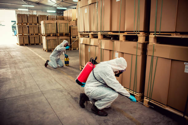 Best Termite Control Services  in Meraux, LA