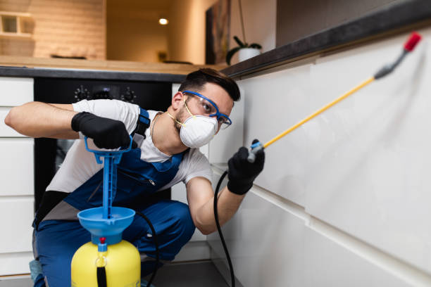 Best Affordable Pest Control Services  in Meraux, LA