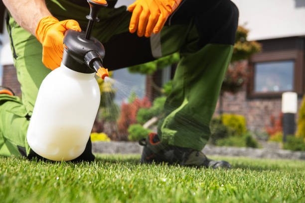 Pest Control for Restaurants in Meraux, LA