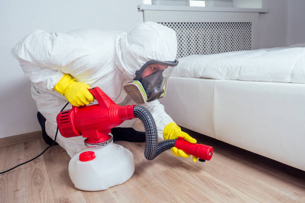 Best Bed Bug Extermination  in Meraux, LA