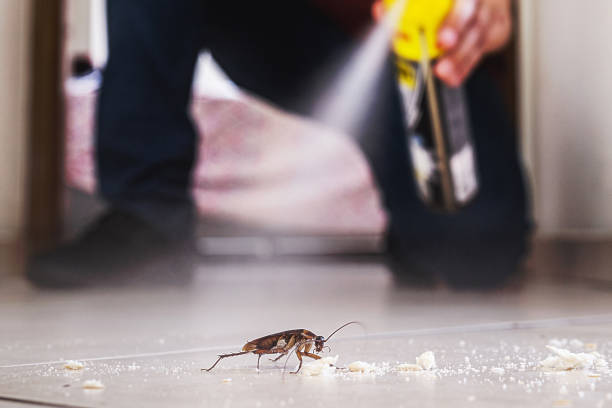 Best Wildlife Control Services  in Meraux, LA