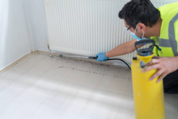 Best Pest Control for Homes  in Meraux, LA
