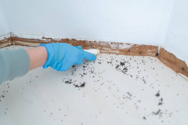 Meraux, LA Pest Control Company